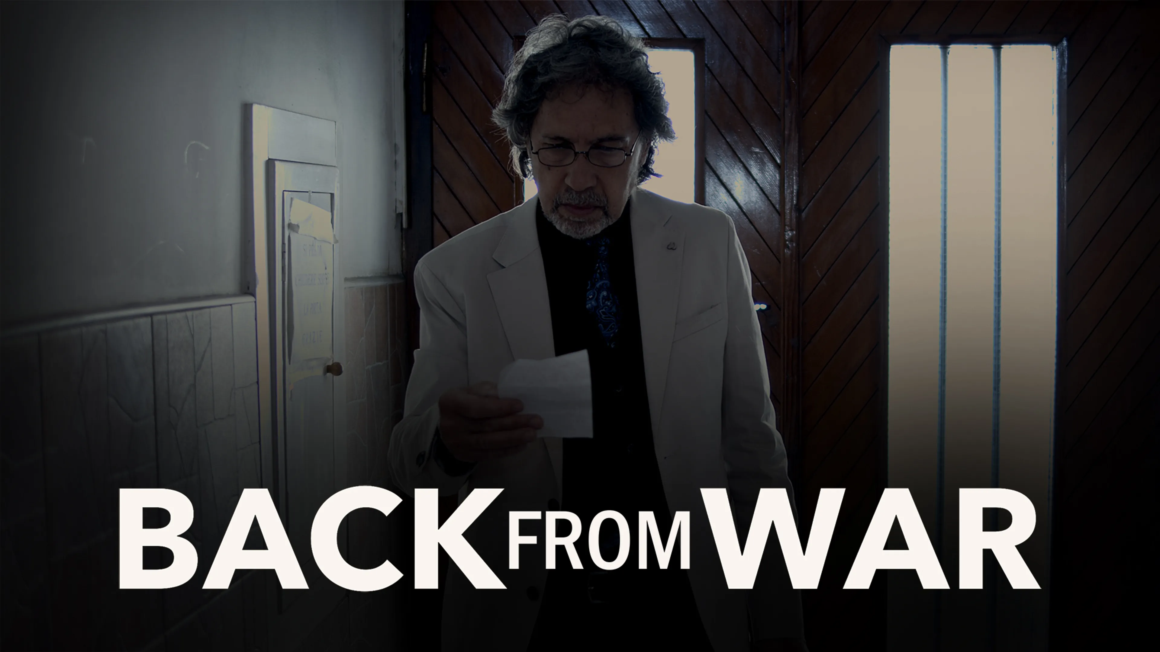 Back from War poster